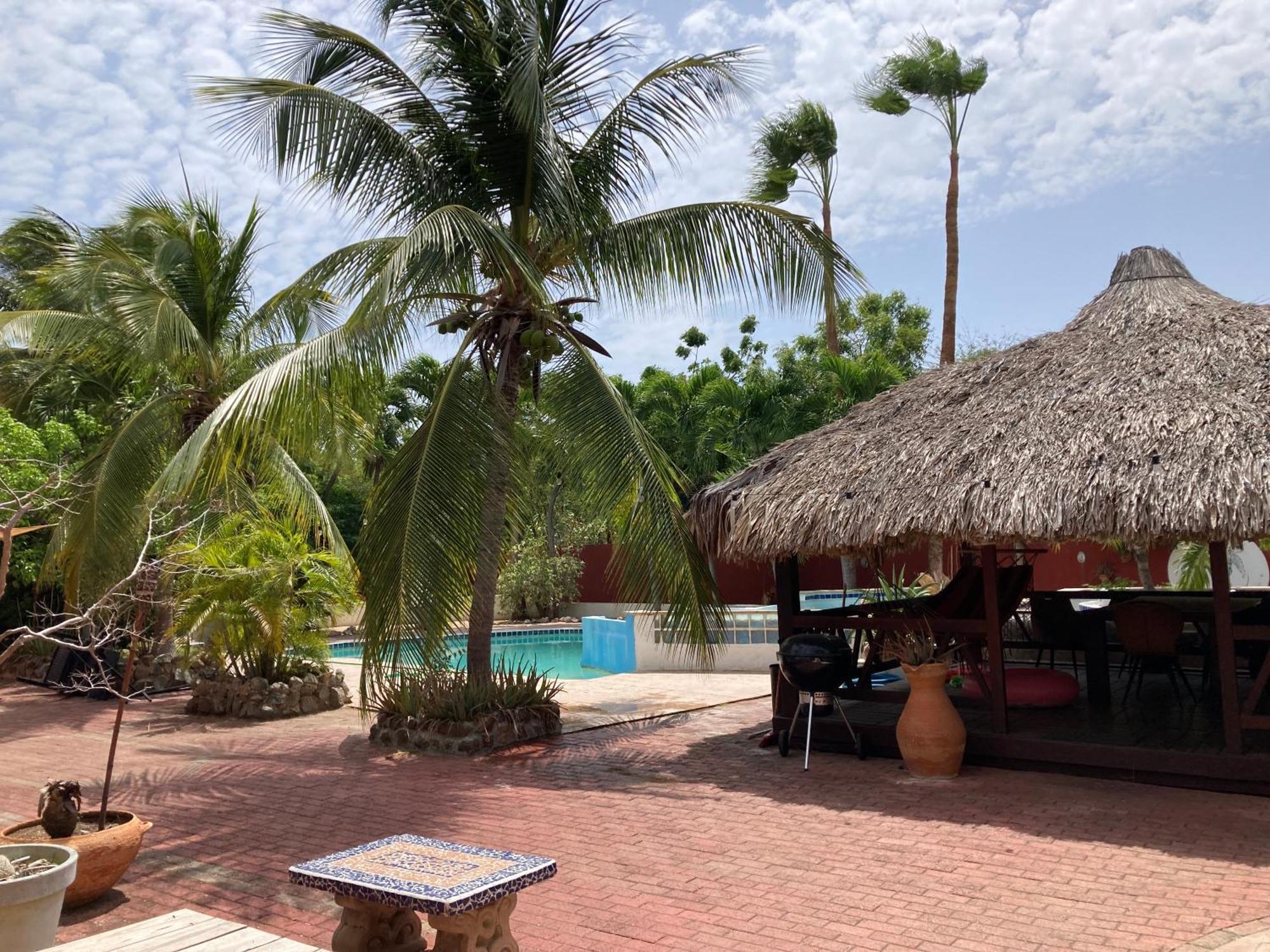 Woodstock Palmresort Curacao Willemstad Eksteriør billede